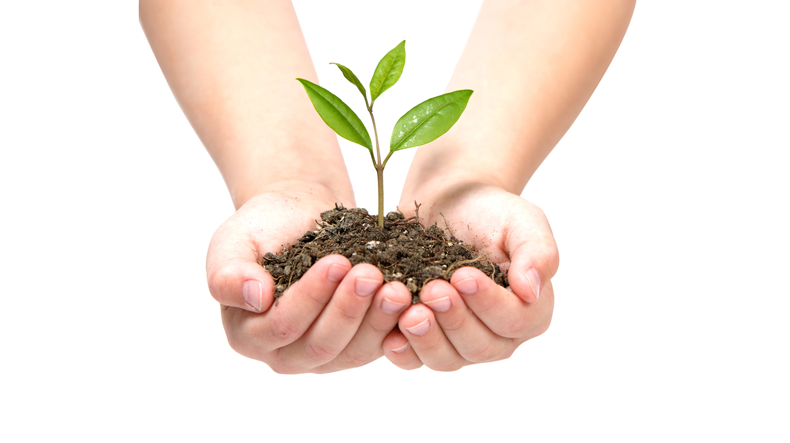 Bli fast giver i Modum menighet du også!