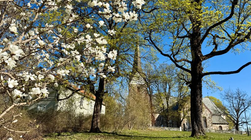 Skedsmo kirke