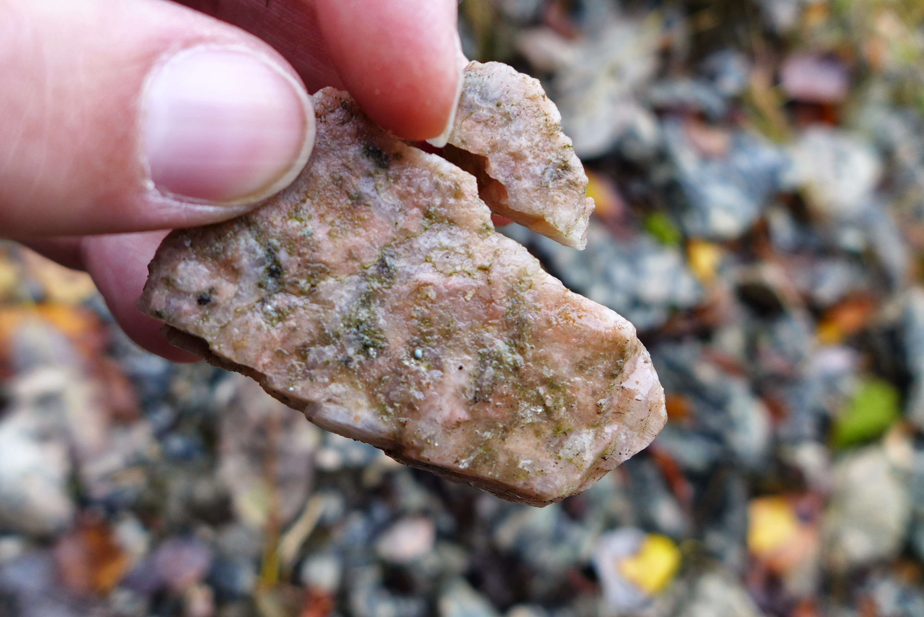 Diakoni på trikker og busser i Oslo