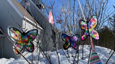 Påsketre ved Nordre Trysil kirke. Pynten er laget av elever ved Jordet skole.