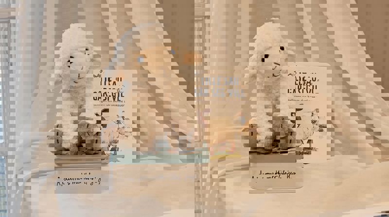 Bilde av Krølle, en bok og en matboks