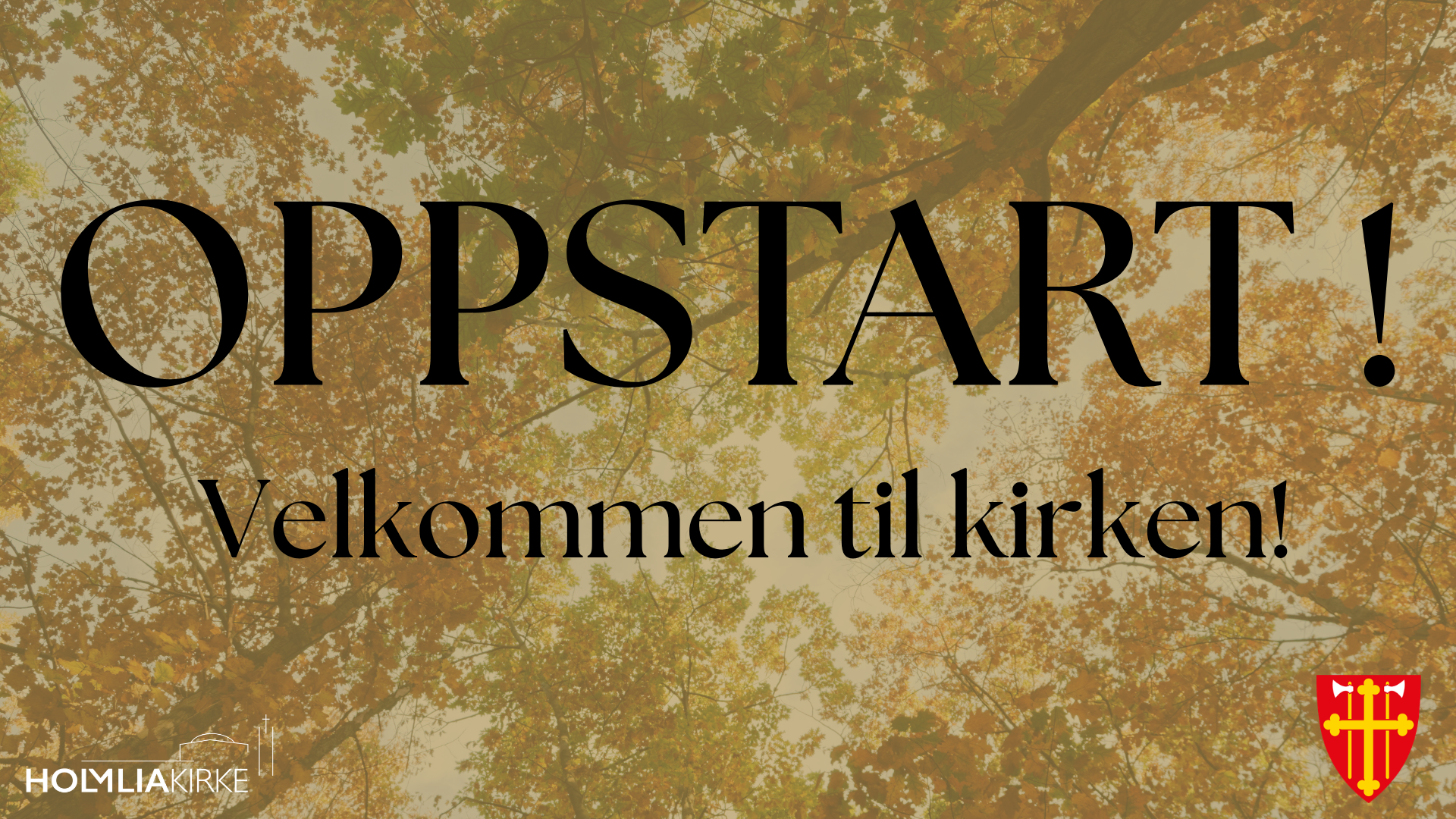 Oppstart høsten 2026