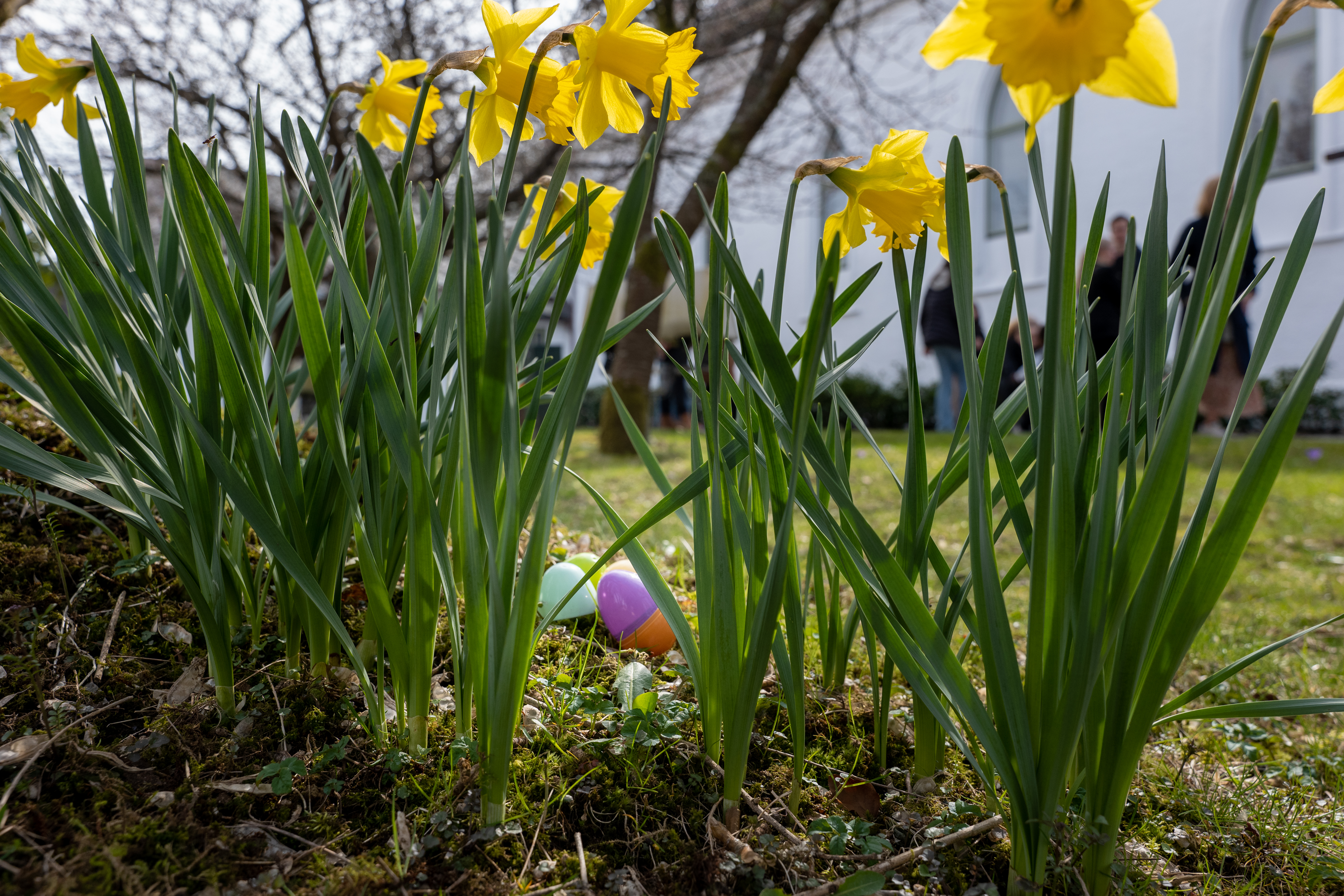 Påskeferie for babysang🐣