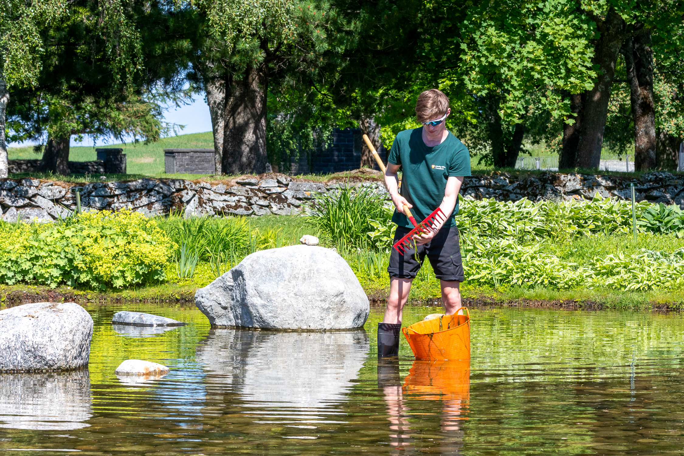 Sommerhjelp på Havstein kirkegård. Foto: Kjetil Aa.
