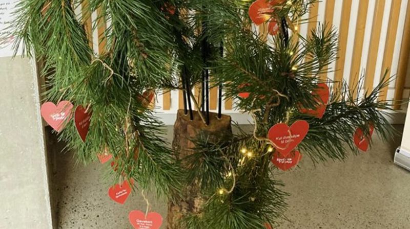 Ønsketreet er pyntet