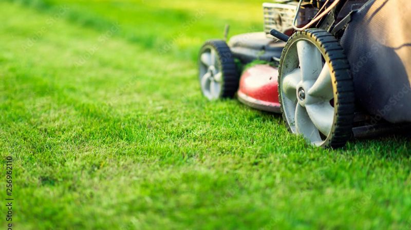 Sesonghjelp Gressklipping