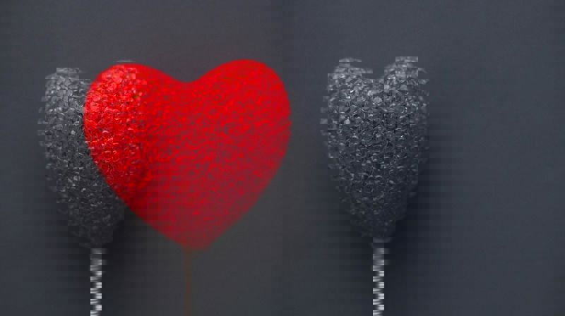 Foto: Karolina Grabowska