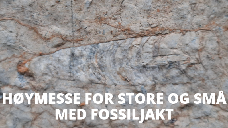 Høymesse for store og små