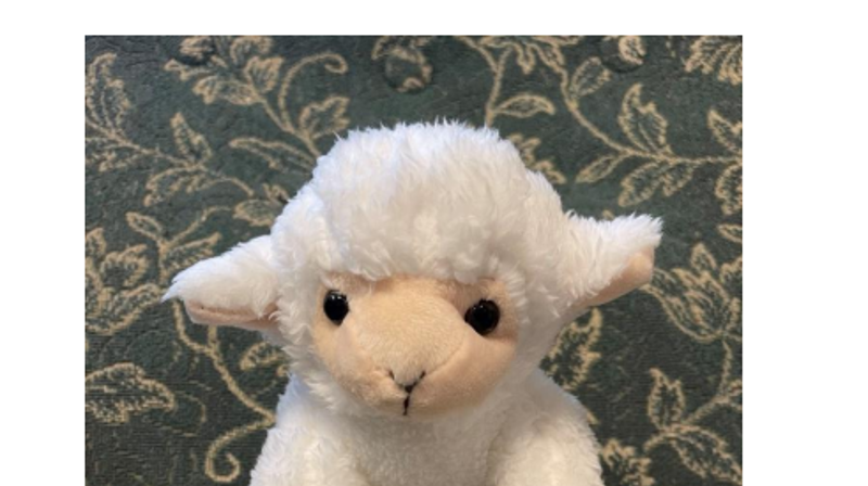 Velkommen til krøllekveld!