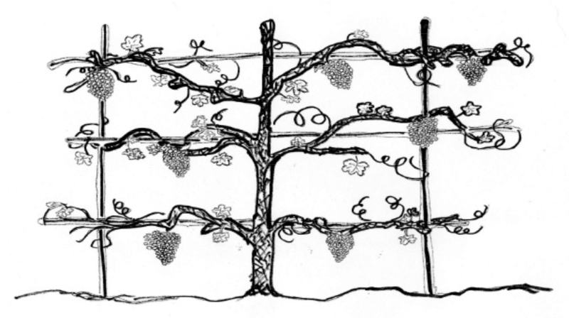 5. søndag i påsketiden