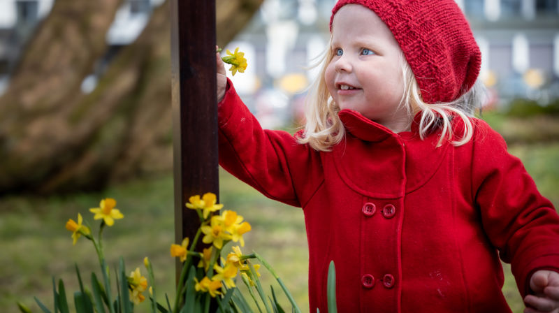 Barn henger en påskelilje på et kors Foto: Terje Peersen