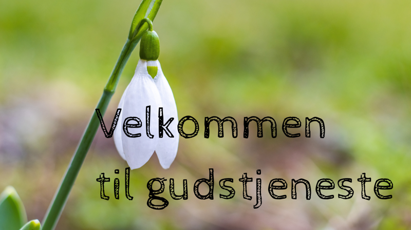 Barnas gudstjeneste og Tomasmesse søndag 1. mars