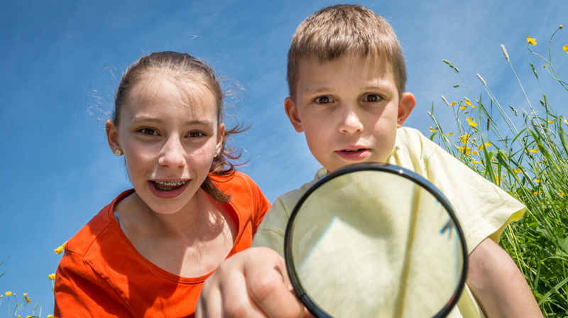 Miljødetektivdag 14.november