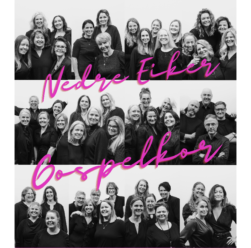 Nedre Eiker Gospelkor