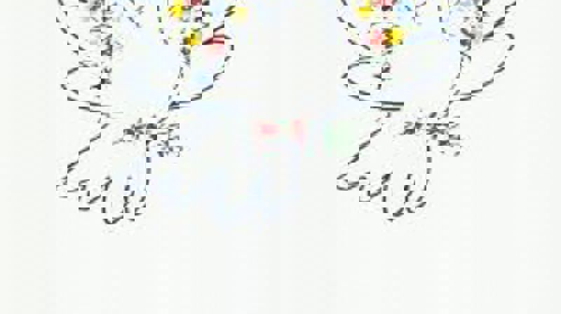 LED OSS PÅ FREDENS VEI