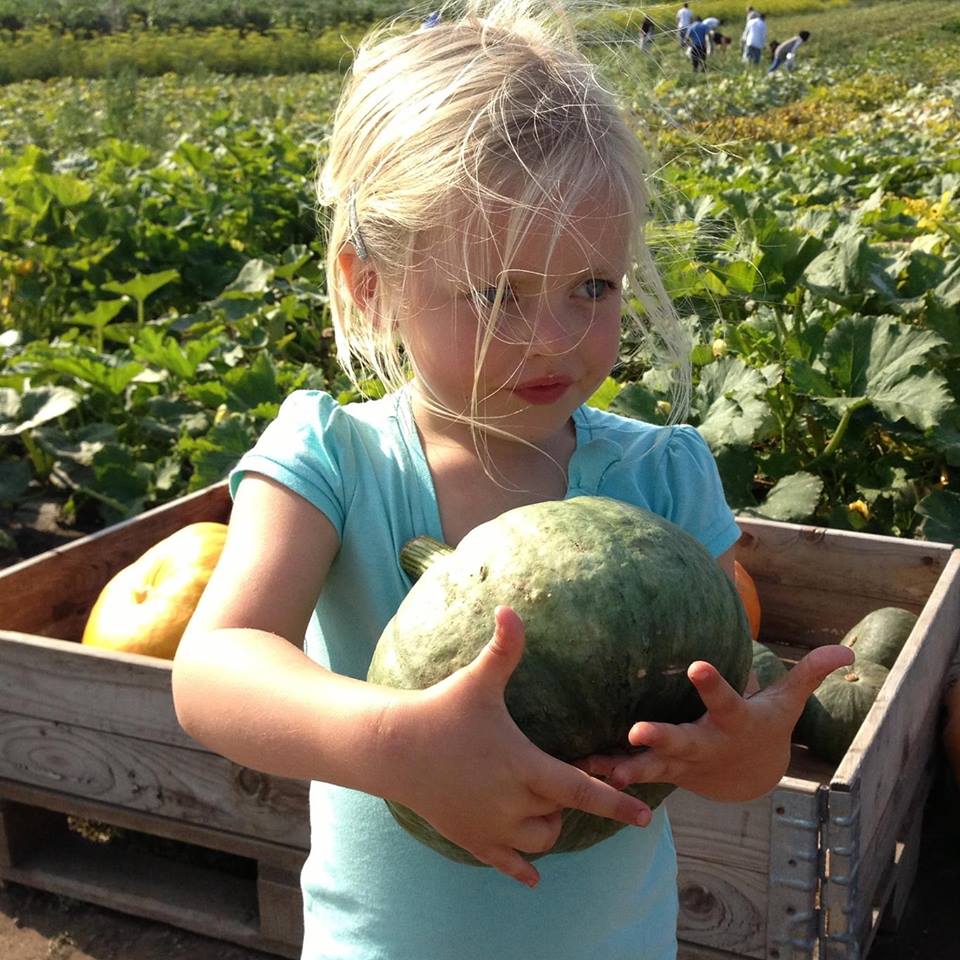 Voksenenga nærmiljøhage