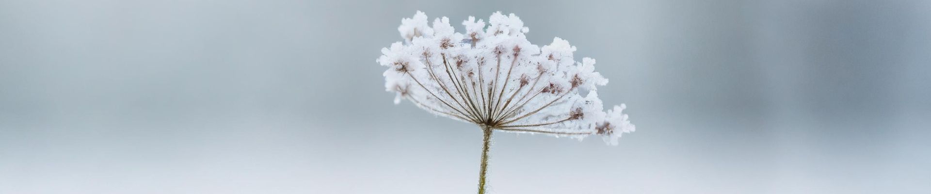 Toppbilde for Grorud menighet