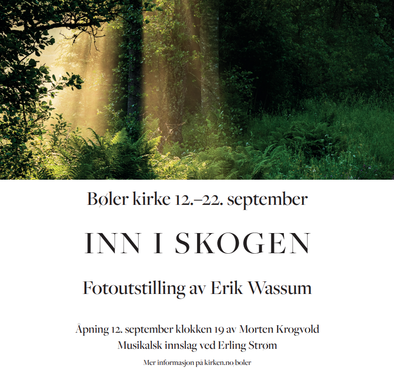 Utstilling Erik Wassum