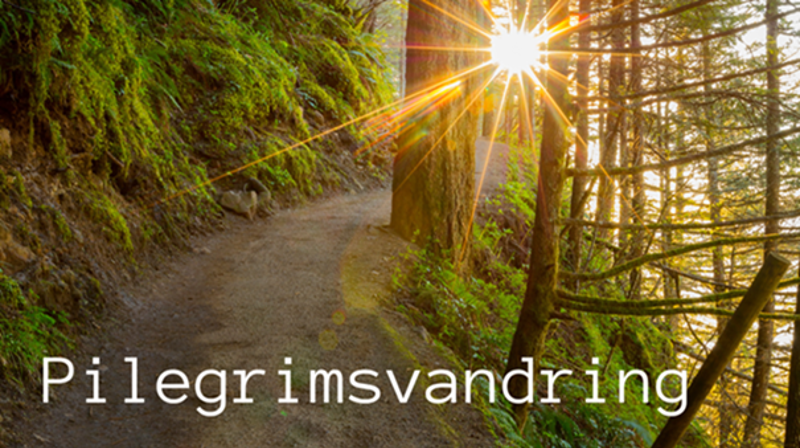Pilegrimsvandring 30.8 2025