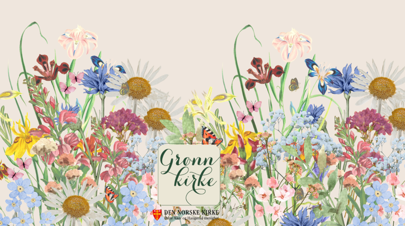 Blomstereng ved Haugerud kirke