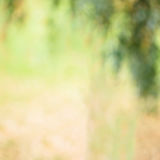 Malin Beatrix Reitan Olufsen