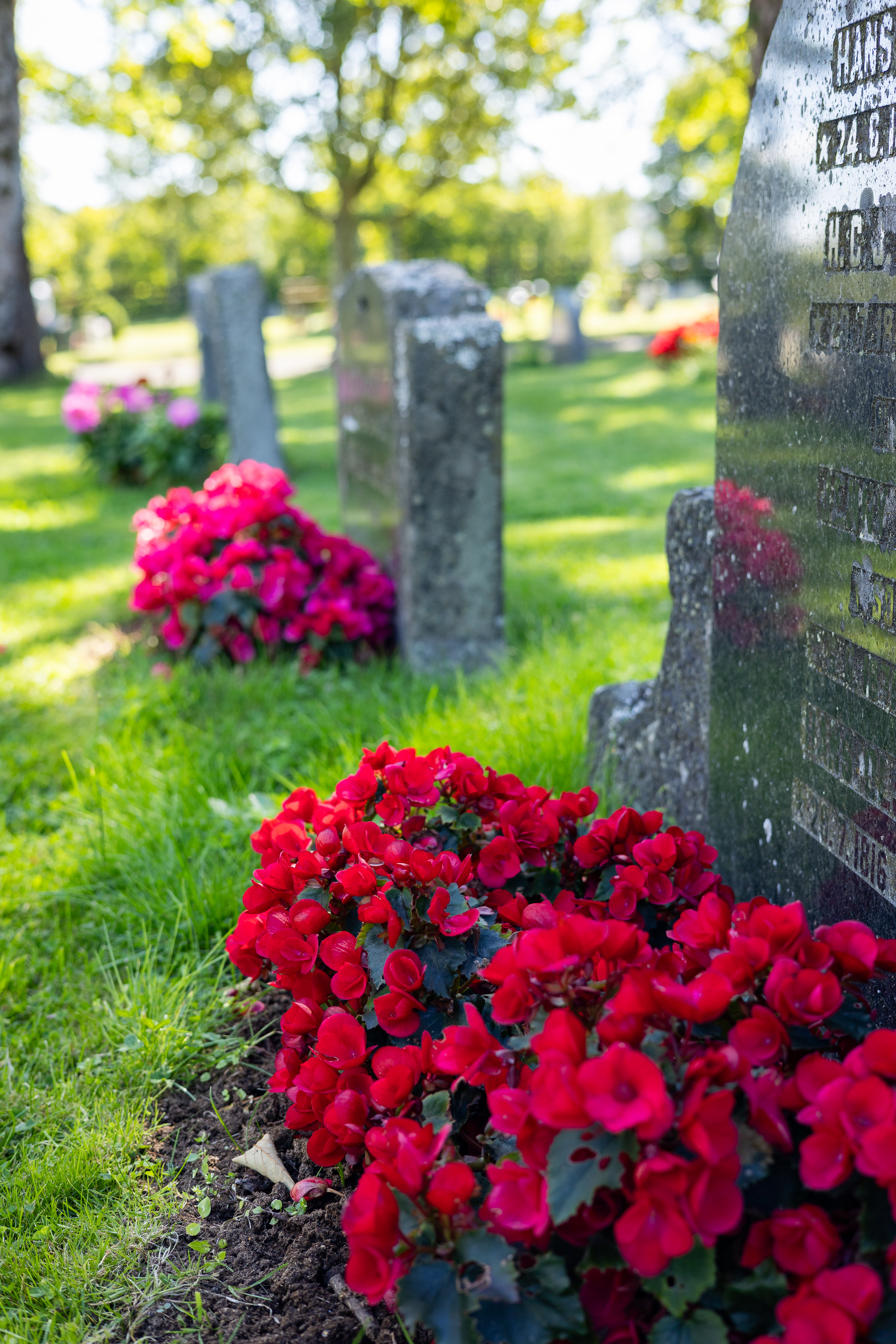 Ønsker du gravstell?