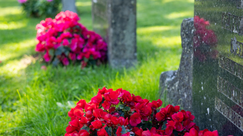 Ønsker du gravstell?