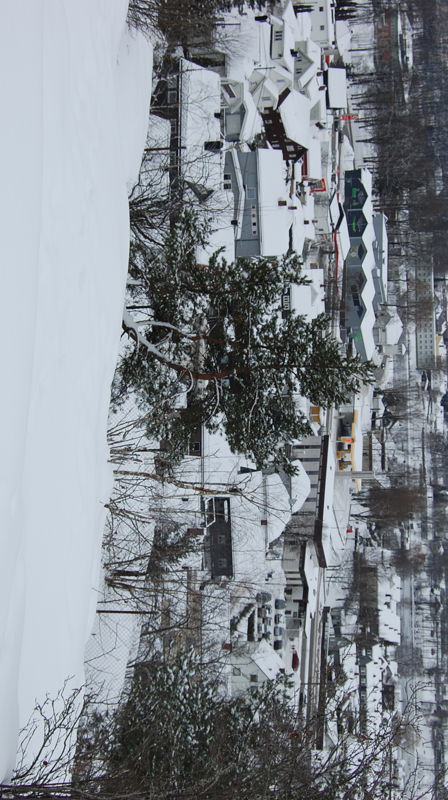 Vårens nummer av Åssiden-nytt er ute!