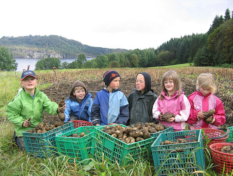 Høsttakkefest 4 år
