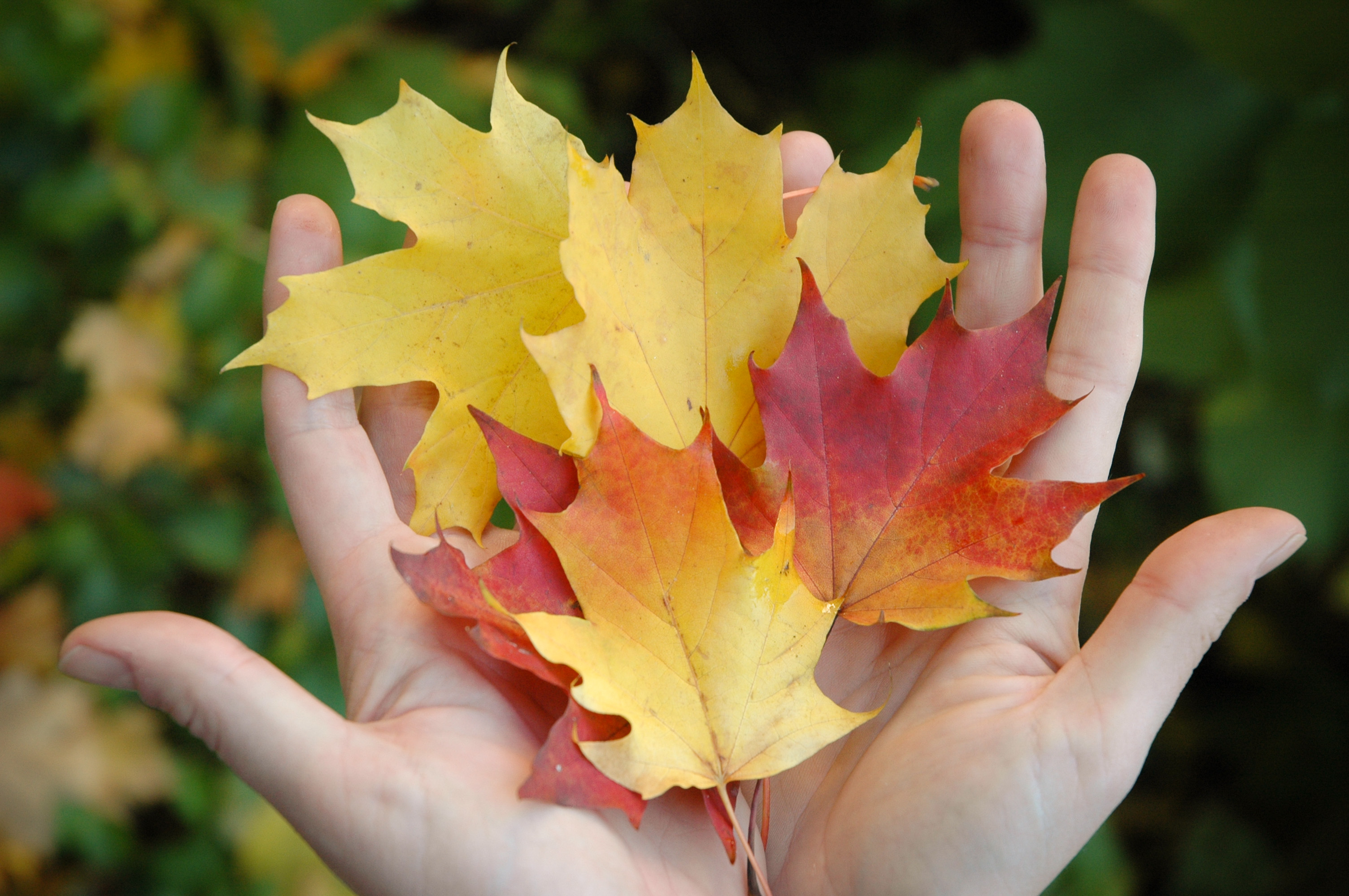 Høstferieaktiviteter