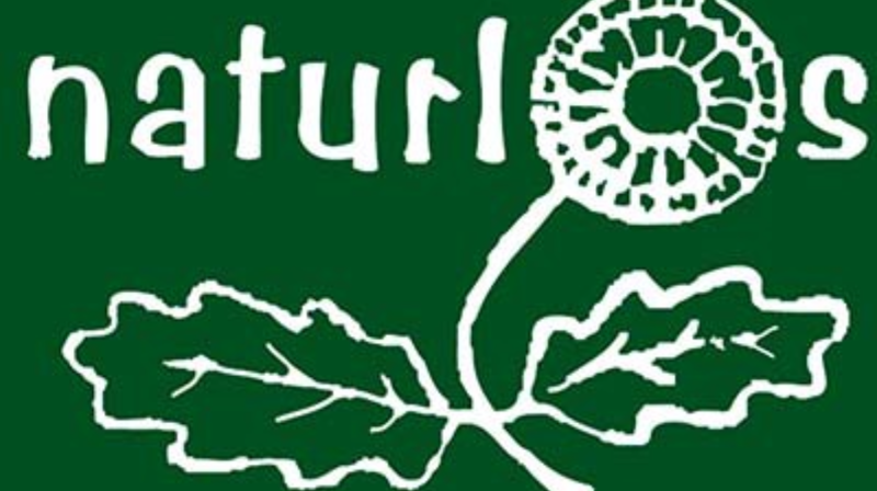 Naturlostur til Skogen i Grindheim