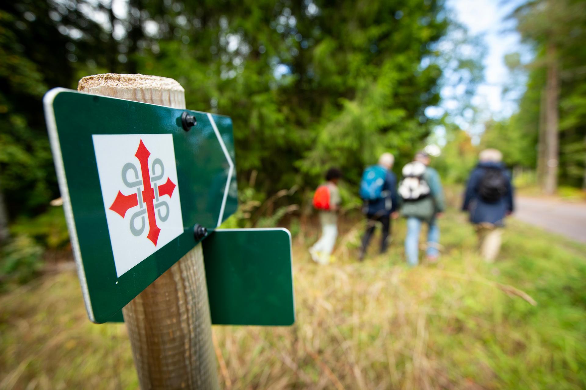 Vandring på pilegrimsveien i Drammen