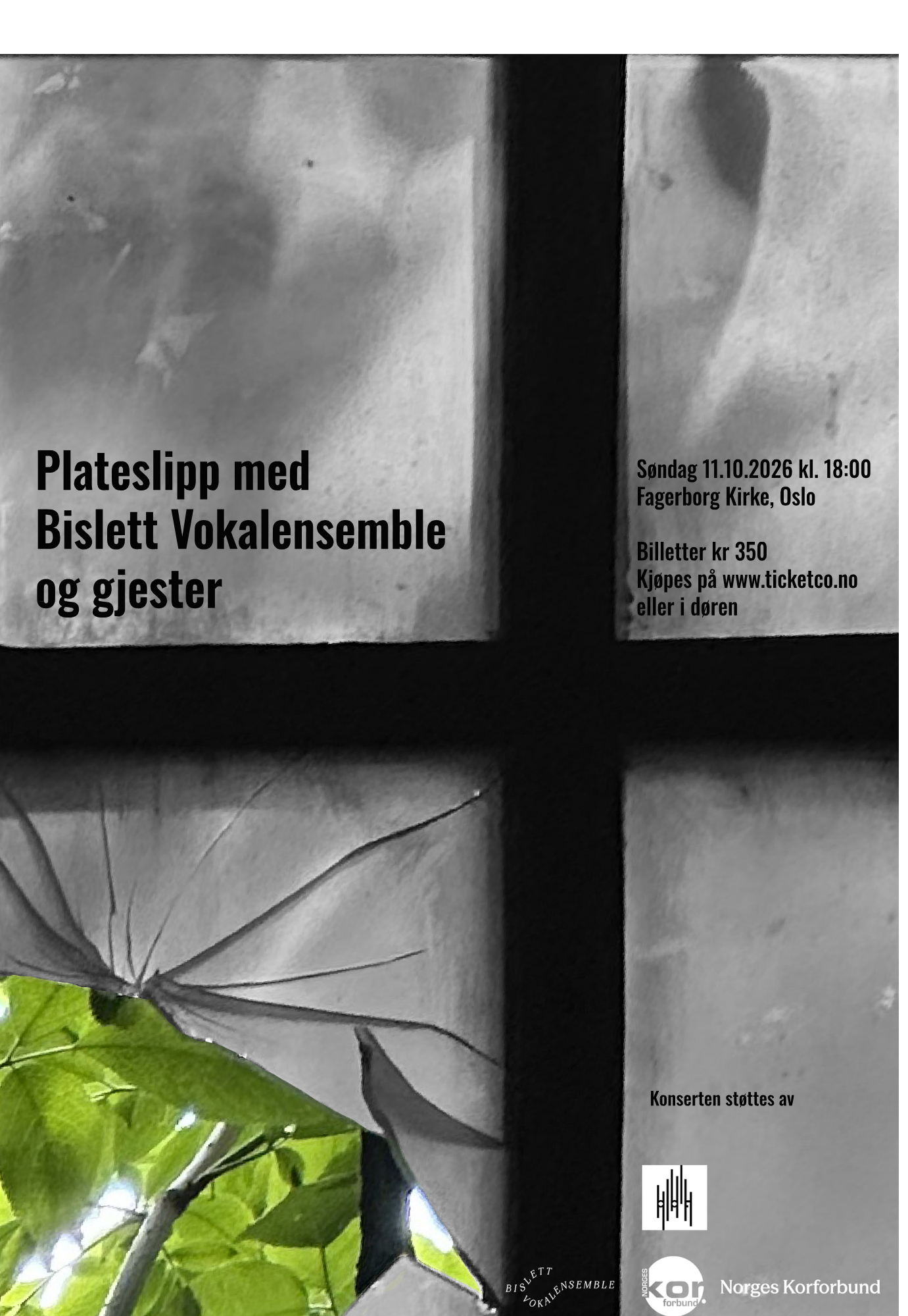 Plateslipp med Bislett Vokalensemble og gjester🎶