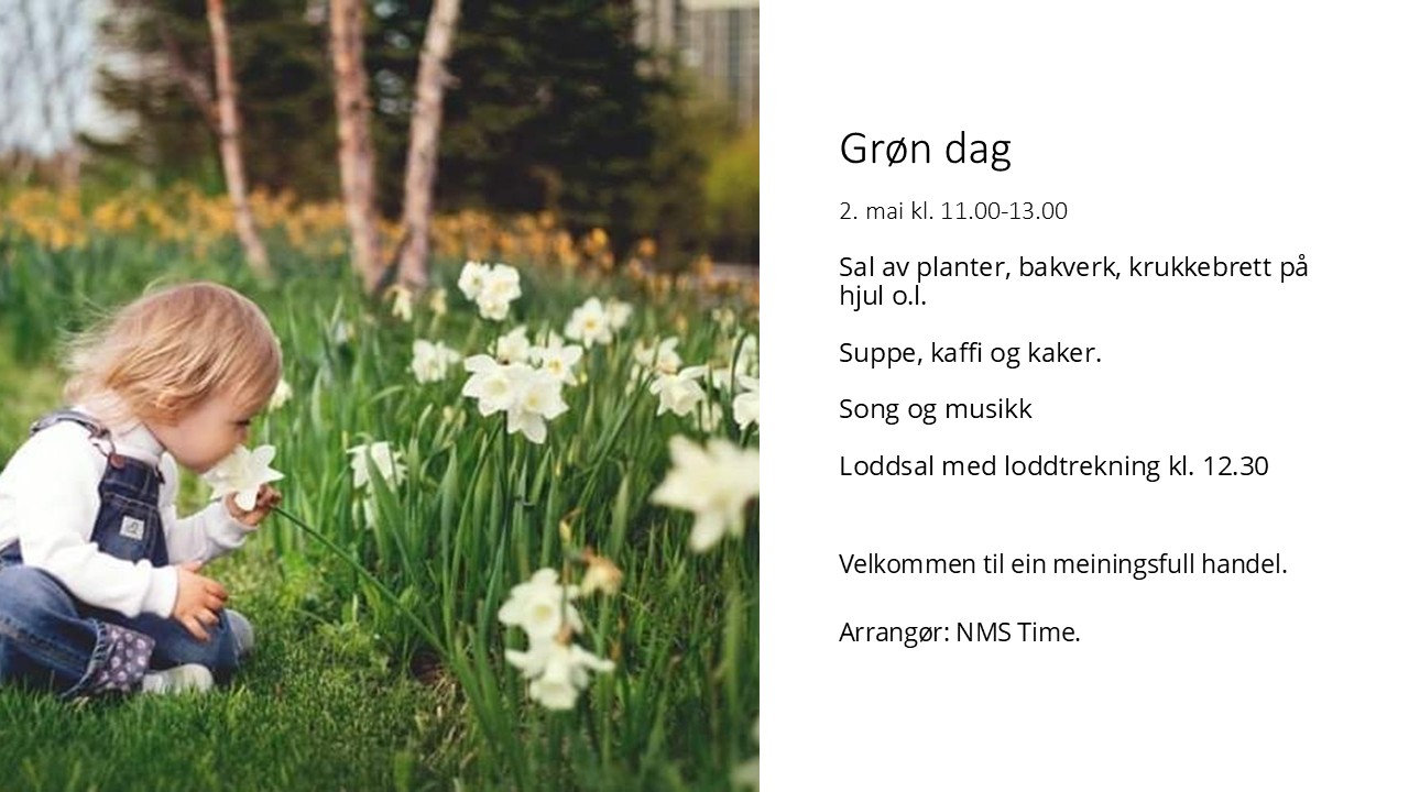 Grøn dag