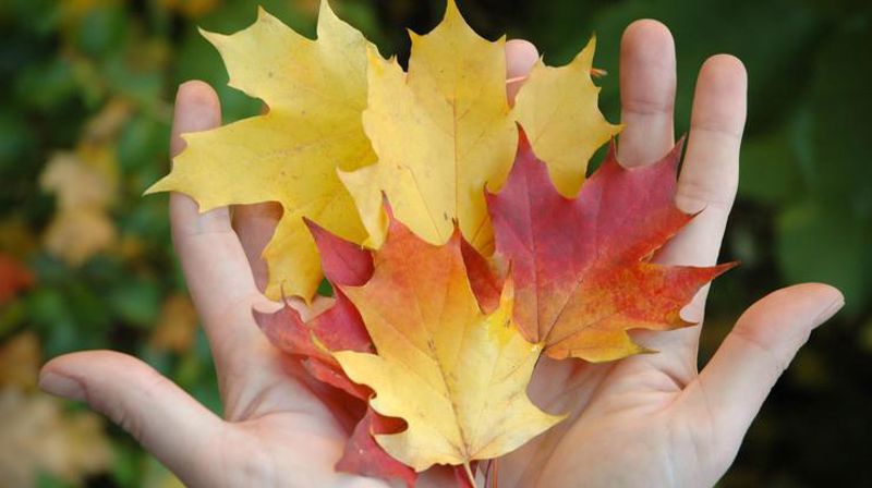 Hentet fra design.kirken.no