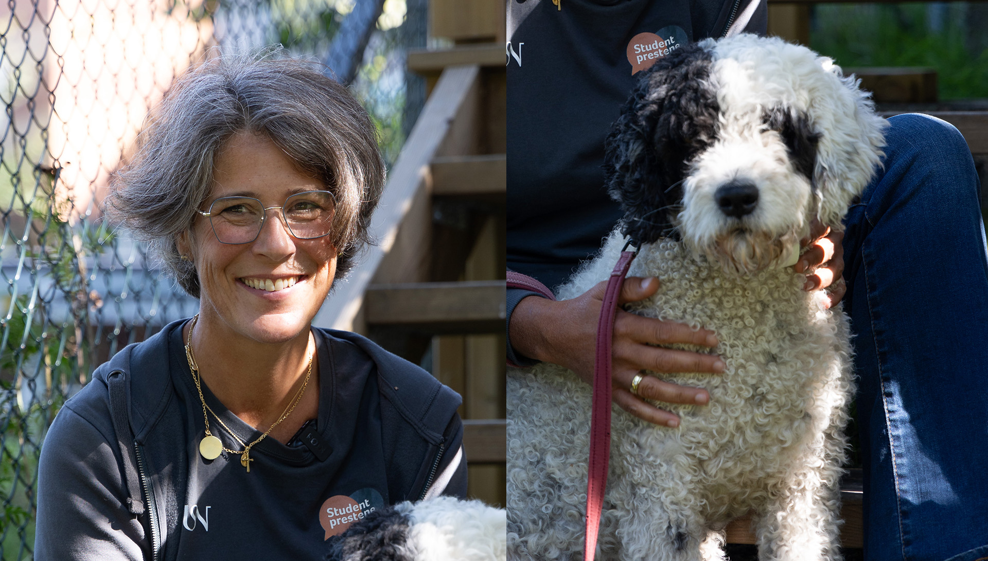 Studentene ved USN i Vestfold kan velge om de ønsker å bestille time med studentprest Pernille Astrup eller om de også vil ha med studentpresthunden Bambus.