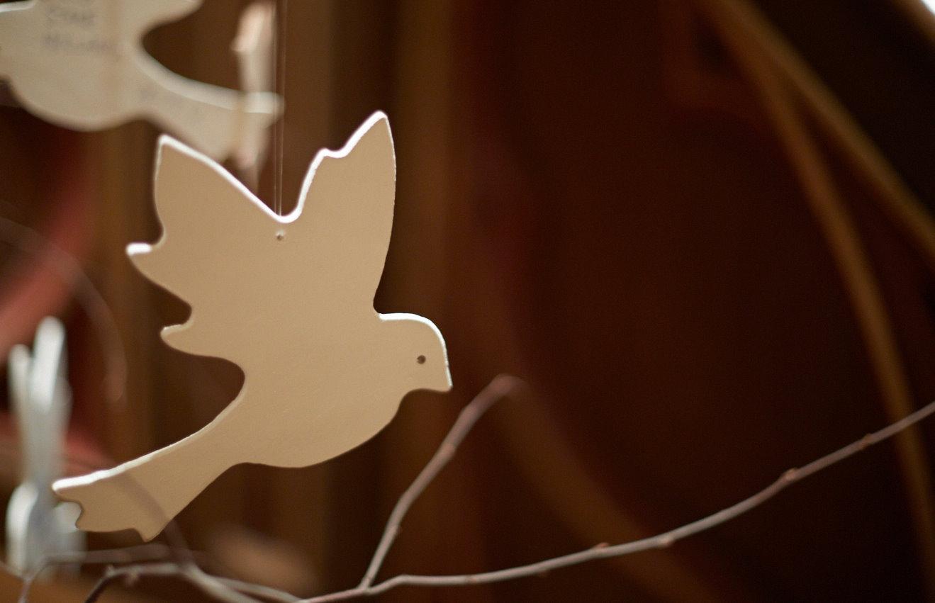 Håpsdue. Foto: Lars Verket.