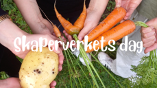 Barnehender som holder potet og gulrøtter som er plukket med teksten Skaperverkets dag over.