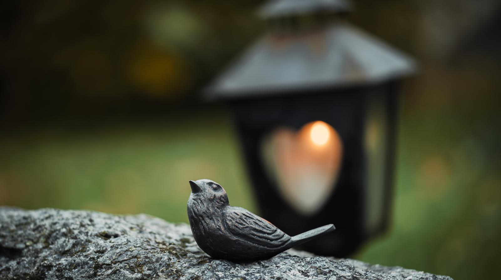 Foto Helene Moe Slinning