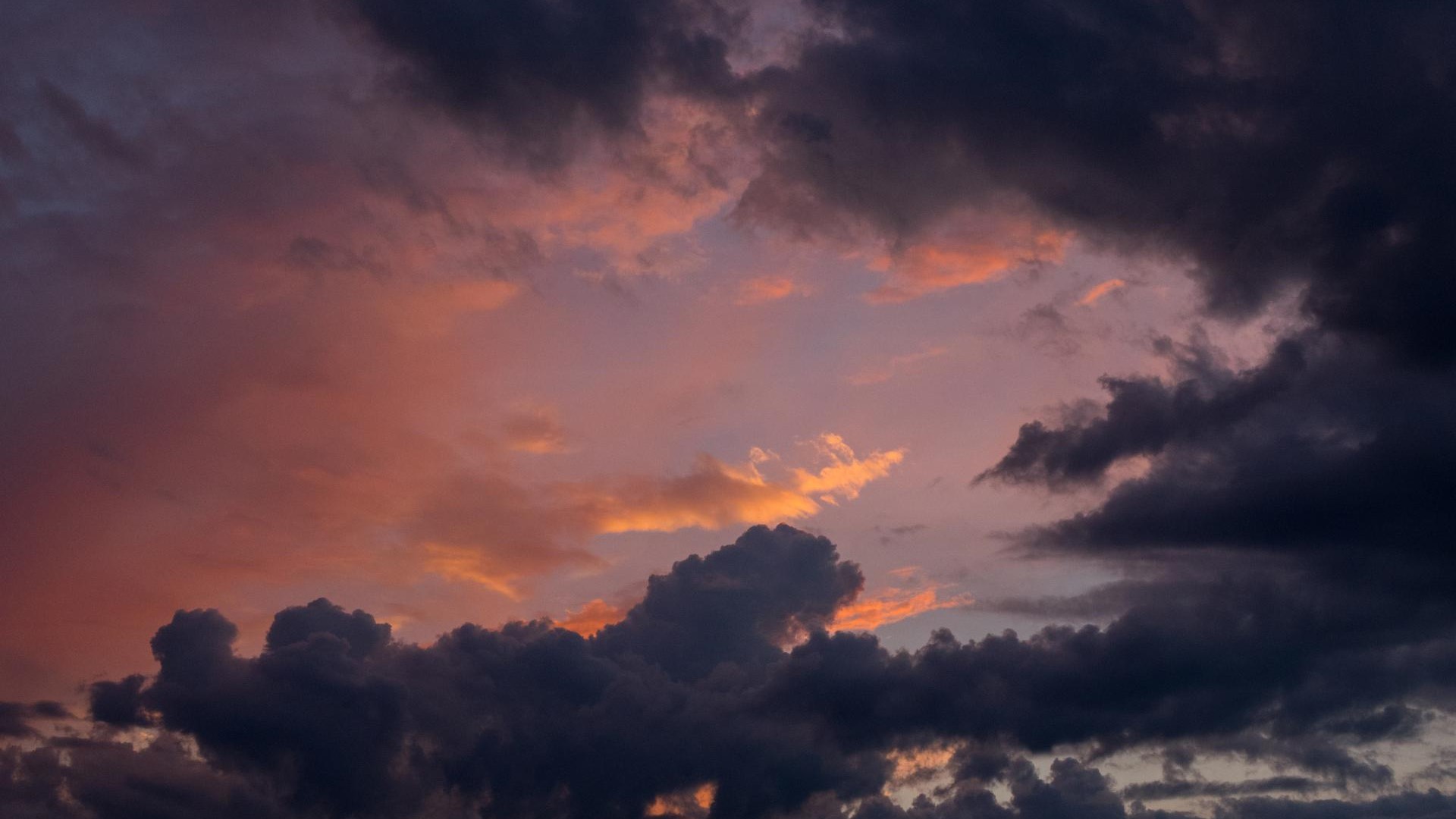 Utsleppsrekneskapen for 2023 viser at Den norske kyrkja kuttar tre prosent meir enn planlagt. Illustrasjonsfoto: Lars Verket / Den norske kyrkja.