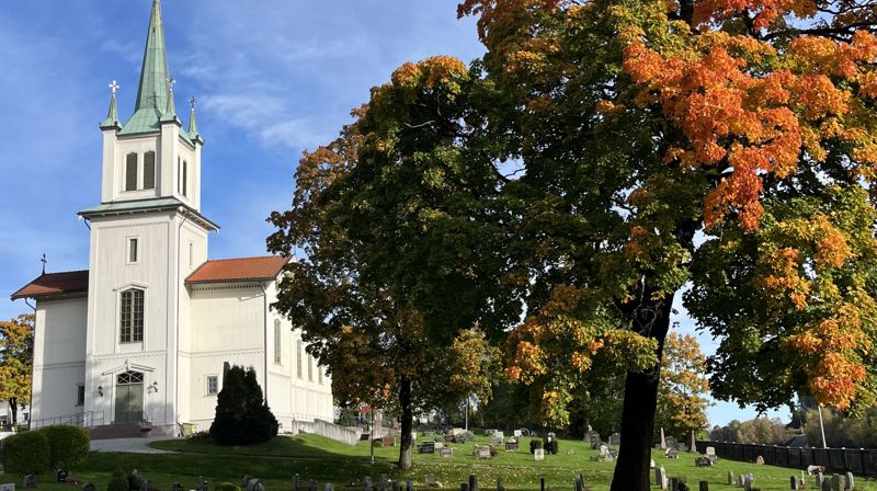 Foto: Anne Aannestad