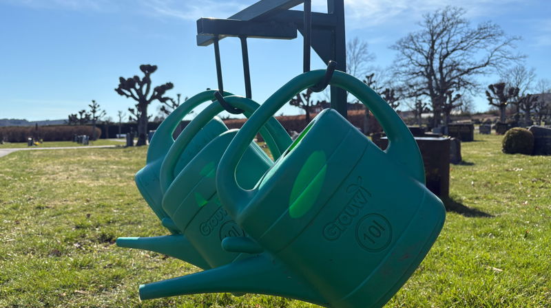 Åpning av sommervann