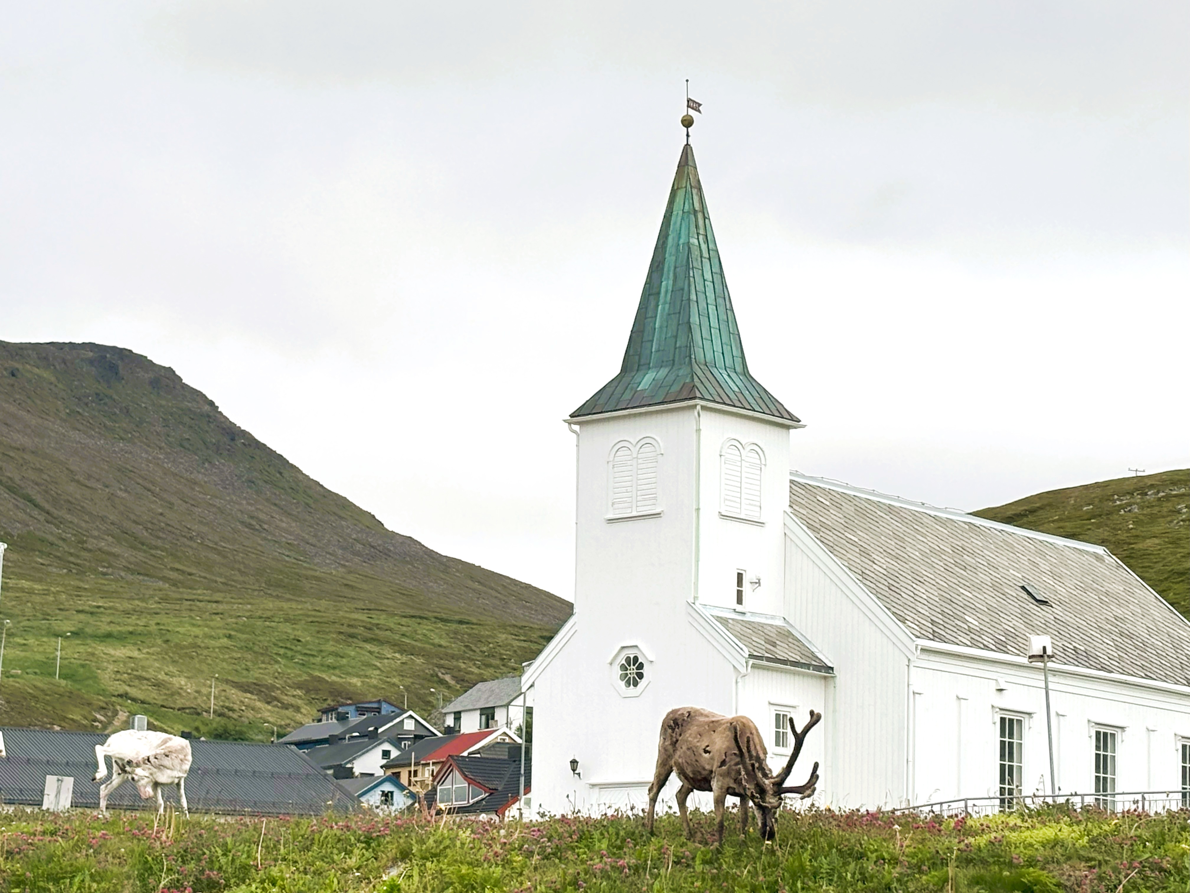 Kirka fyller år og orgelet innvies