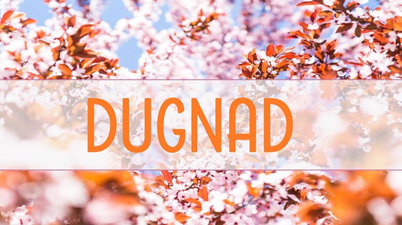 Vårdugnad rundt kirken