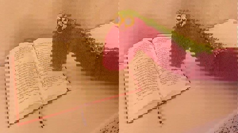 Småbarnsang 2-5 år.