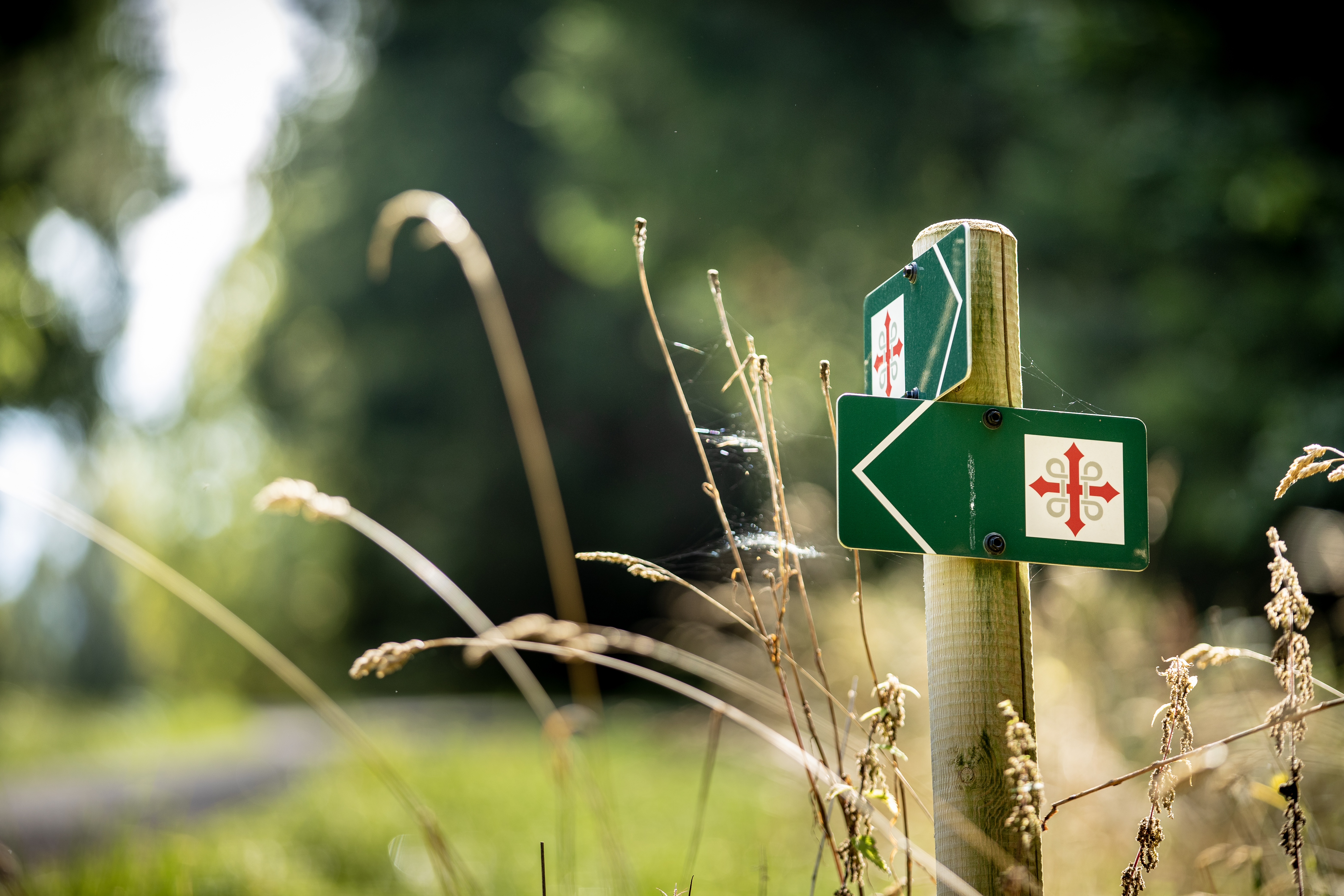 Pilegrimstur – foto Bo Mathisen