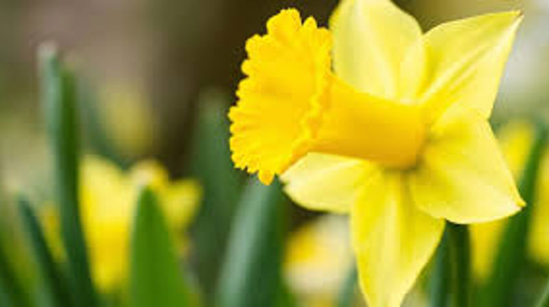 Påsken i Sinsen kirke