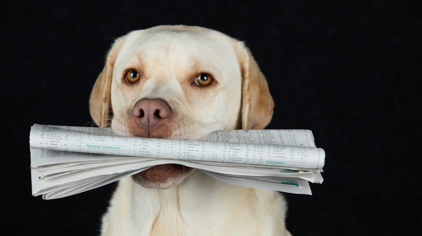 Ledige oppgaver i Tonsen