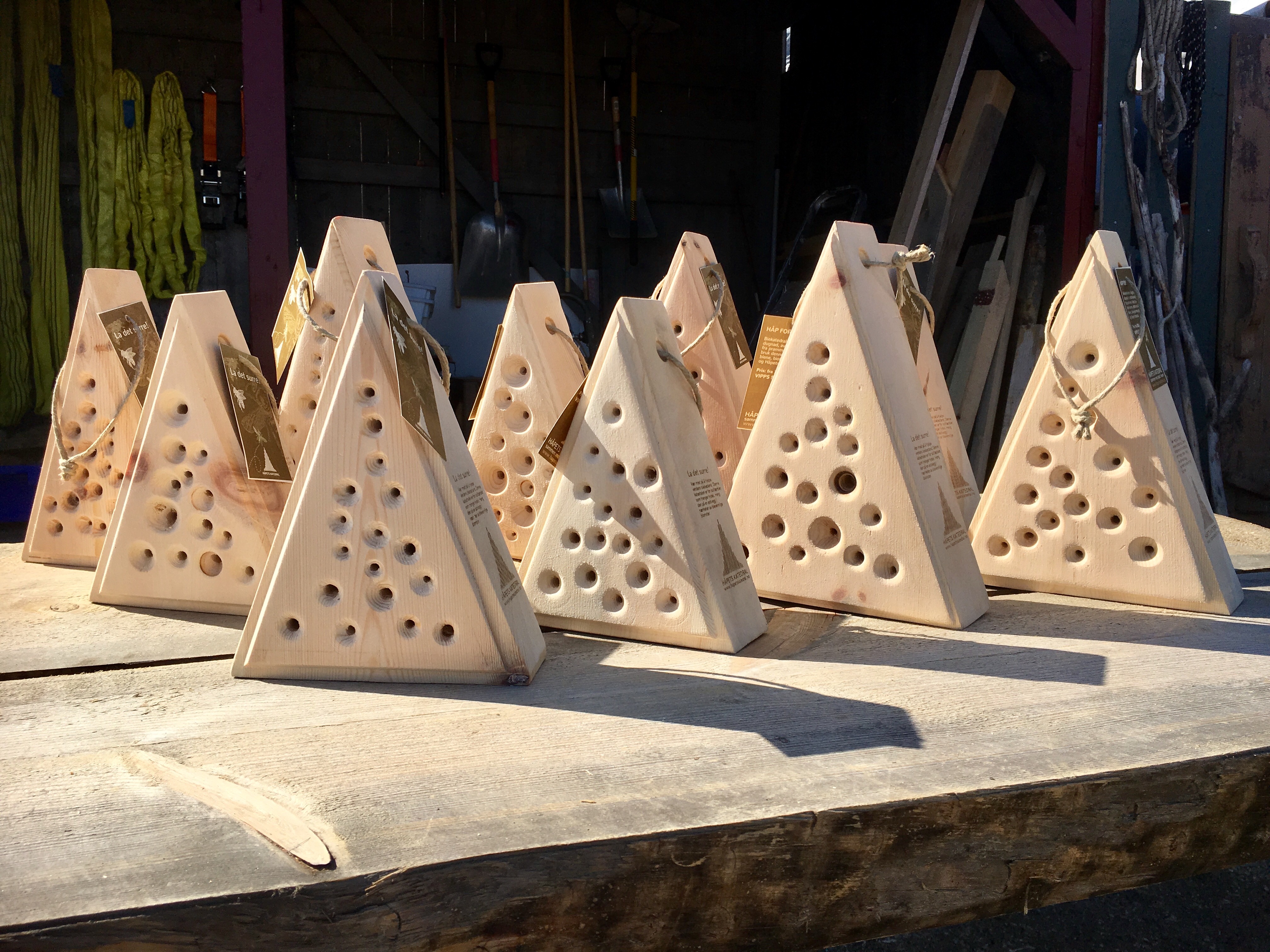 Foto: H&aring;pets katedral