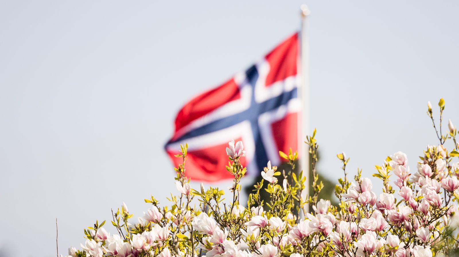 Velkommen til bekransning av Hans Nielsen Hauge-statuen og festgudstjeneste på 17. mai!